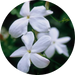 Test image